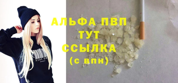 индика Коряжма